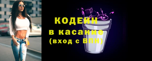 МДПВ Вяземский